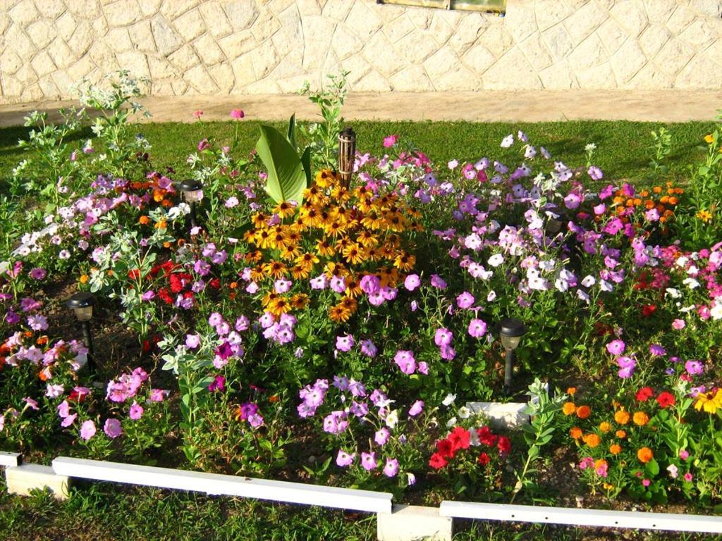 Ljig Odmor Na Selu Babajic 아파트 외부 사진